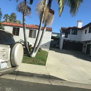 Meet your Posher, Dorthy